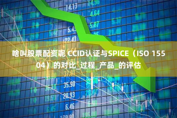 啥叫股票配资呢 CCID认证与SPICE（ISO 15504）的对比_过程_产品_的评估