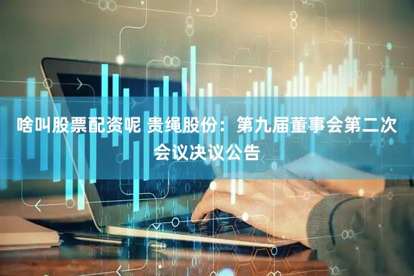 啥叫股票配资呢 贵绳股份：第九届董事会第二次会议决议公告