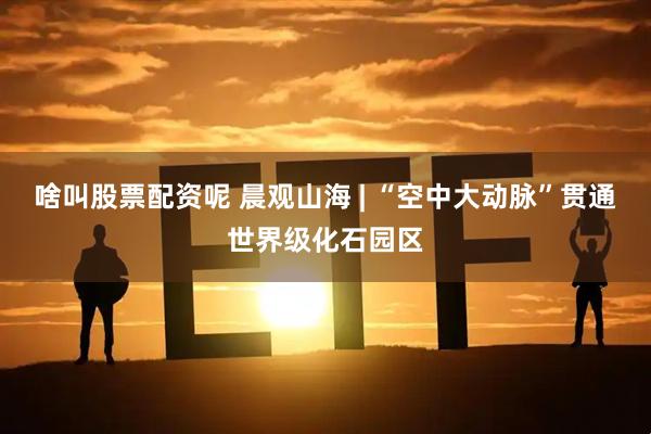 啥叫股票配资呢 晨观山海 | “空中大动脉”贯通世界级化石园区