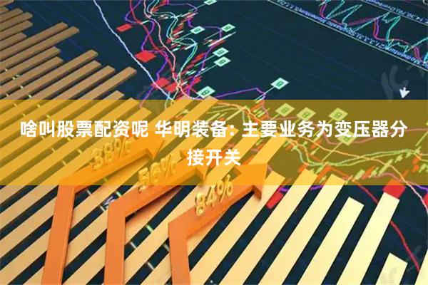 啥叫股票配资呢 华明装备: 主要业务为变压器分接开关