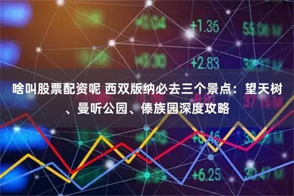 啥叫股票配资呢 西双版纳必去三个景点：望天树、曼听公园、傣族园深度攻略